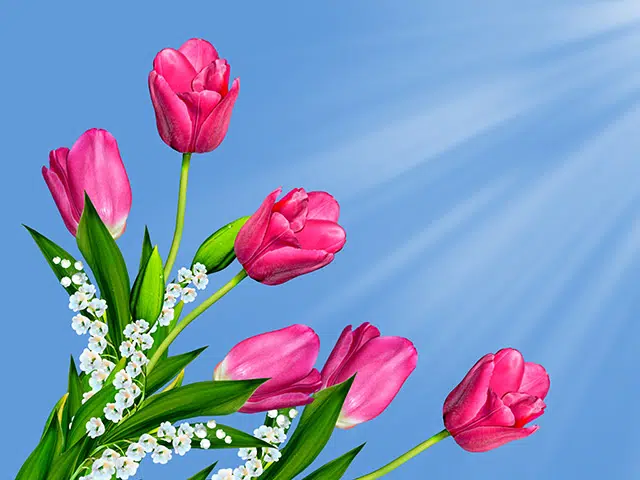 special offer image